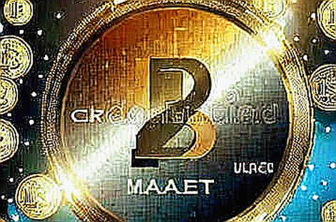 Ba địa chỉ 'cá voi' mua Bitcoin ETF – nhưng 43% là tiền của chính họ